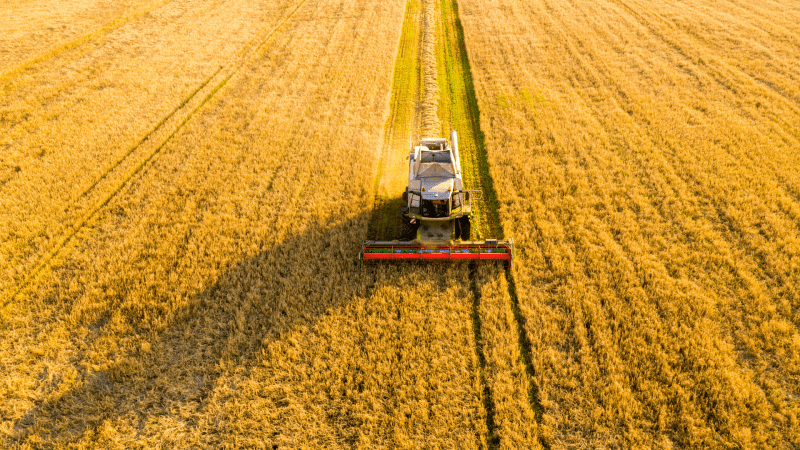 Secteur Agriculture